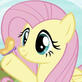 Fluttershy !